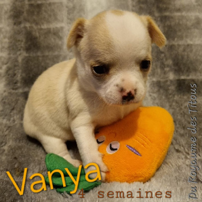 Vanya